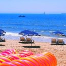 죽도공원공영주차장 앞 이미지