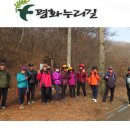한강철책길 이미지