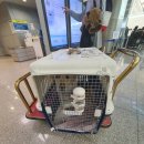 벨라켄넬 이미지