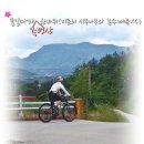 능산목장 | (40선 가평 서부권/물길따라 축령산 한바퀴) 지둔리 시무나무와 조종천 녹수계곡XC