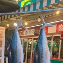 싱싱회관 이미지