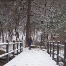 2월 6(화요일) 갭투유님 따라 무너미 고개 이미지