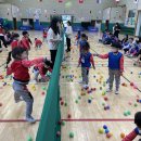 화순오성초 이미지