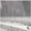 결혼만들기