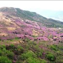 명산목장2 이미지