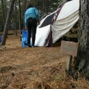 파인힐 캠프 이미지