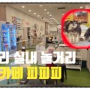 피-비