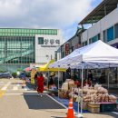 클럽프리모 이미지