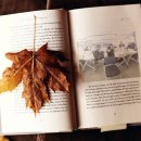 스마트폰 활용 이미지