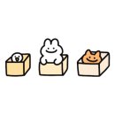 런던아이안경콘택트 이미지