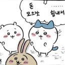 김밥시그널 | 하트시그널 마라톤 스태프 알바 후기 (준비물, 복장, 알바 신청하는 법)