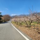 금천계곡 야영장 이미지