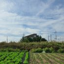 포항시북구67 이미지