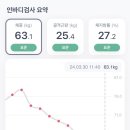 다이어트핏 이미지