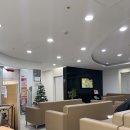 예진산부인과의원 | 시흥 정왕 예진산부인과 정밀 초음파 후기 🌸