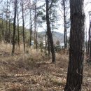 인태농장 이미지