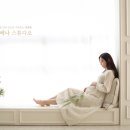 버베나스튜디오 이미지