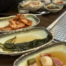 측백장어 이미지