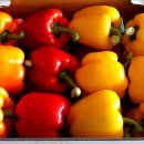 정봉농장 이미지