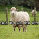 상스아카이브