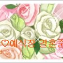 사과나무결혼정보