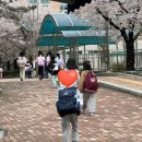 [임신 36주~임신 37주] 정신 잃을뻔한 찐똘맘,출산가방을 싸고 아기 침구에 핀 곰팡이 제거 하는 방법...