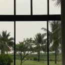 강남성인게임랜드 | 다낭 ::: Ba Loc 코코넛배, 빈원더스