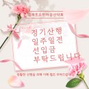 제430차 2024.6.22(토) 충북 보은 속리산/산행~♬ 이미지