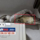 이음ENG