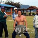 돈지 이미지
