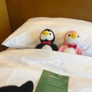 FRIENDS# | 라한 호텔 후기! &amp; HBAF FRIENDS🤍 11/29금