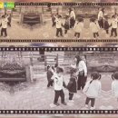 솔밭왓앤와이 영재유치원 이미지