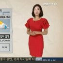 파란 소나기 서울경제