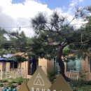 등억알프스로R 이미지