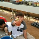 검산 농장 이미지