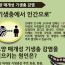 구충제 복용법 효과 부작용 종류 회충약 이미지