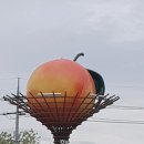 주민센터 로타리 앞 이미지
