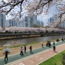 낙민파출소 이미지