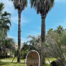 마빌릭 스파앤풀빌라 | 제주도 풀빌라 수영장이 예쁜 동쪽 숙소 : 마빌릭 스파앤풀빌라