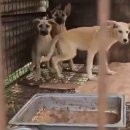 이건농장 이미지