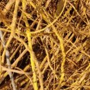 완도농장 이미지