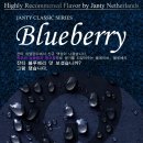 잔티코리아 네이버블로그