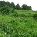 상효동-1 이미지