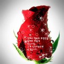 장윤정가요방