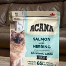 캐치캐치 | 아카나 연어 사료 바운티풀캐치 솔직 후기 시니어 고양이 기호성