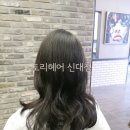 토리헤어 네이버블로그