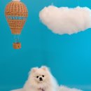 뭉개뭉개인강릉 이미지