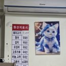 돼지고기듬뿍넣은김치찌개 - 북구 설죽로 518-4 | 대전서구맛집 도마동 초가집포차 돼지고기 듬뿍 돼지김치찌개 솔직후기