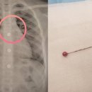 청소년 건강교육 애니메이션 이미지