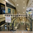 갤러리아팰리스 네이버블로그